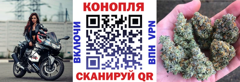 МАРИХУАНА сатива  купить наркотики цена  Козельск 
